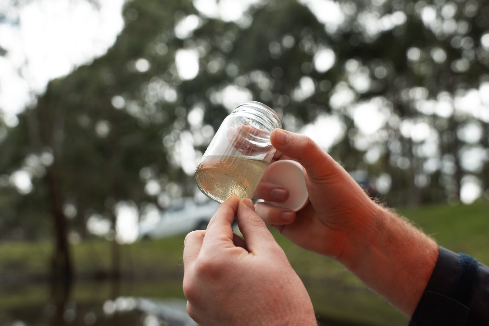Willunga 25