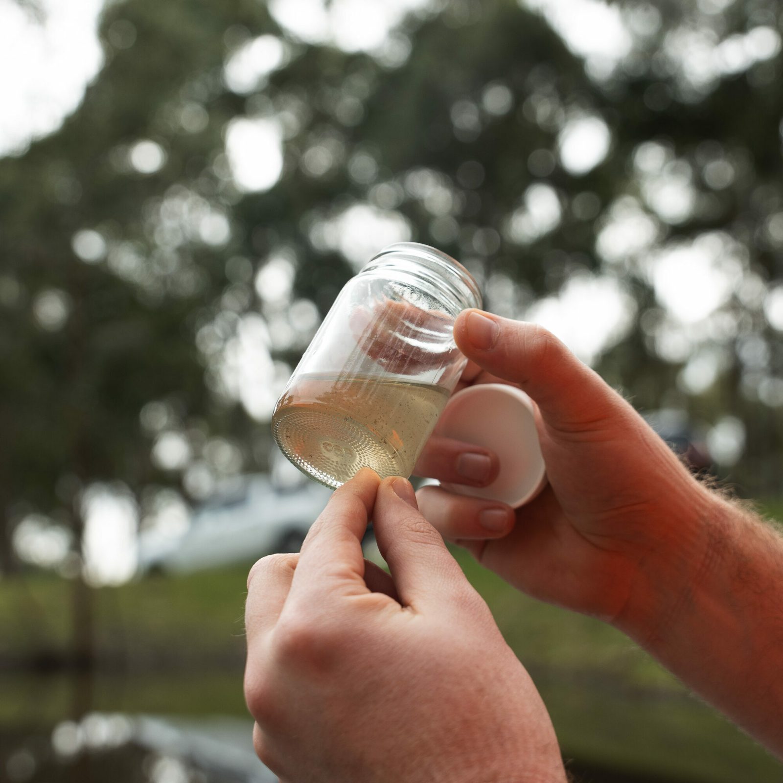 Willunga 25